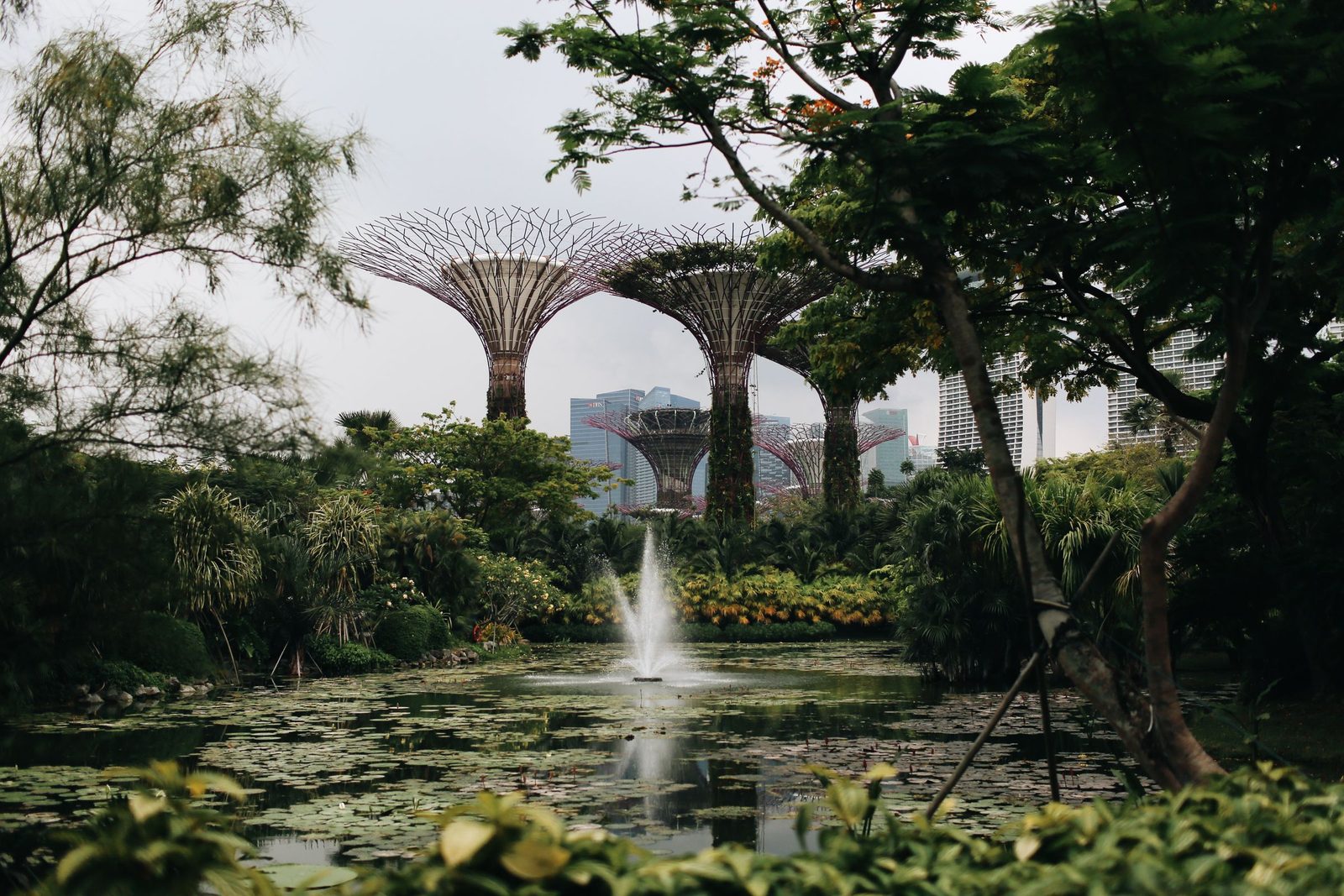 The Supertree Grove and a fountain pond at Gardens by the Bay in Singapore
